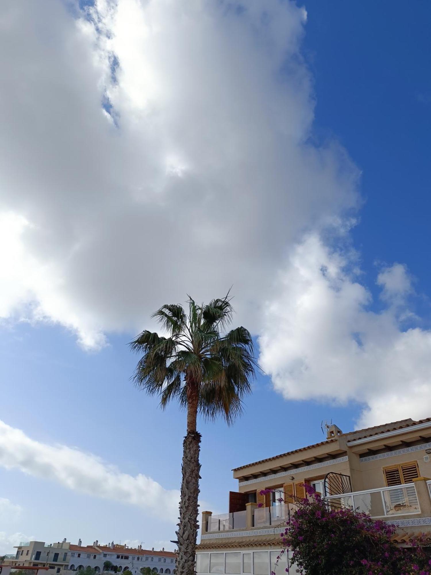 Rising Sun Bungalow تورّيفيِخا المظهر الخارجي الصورة