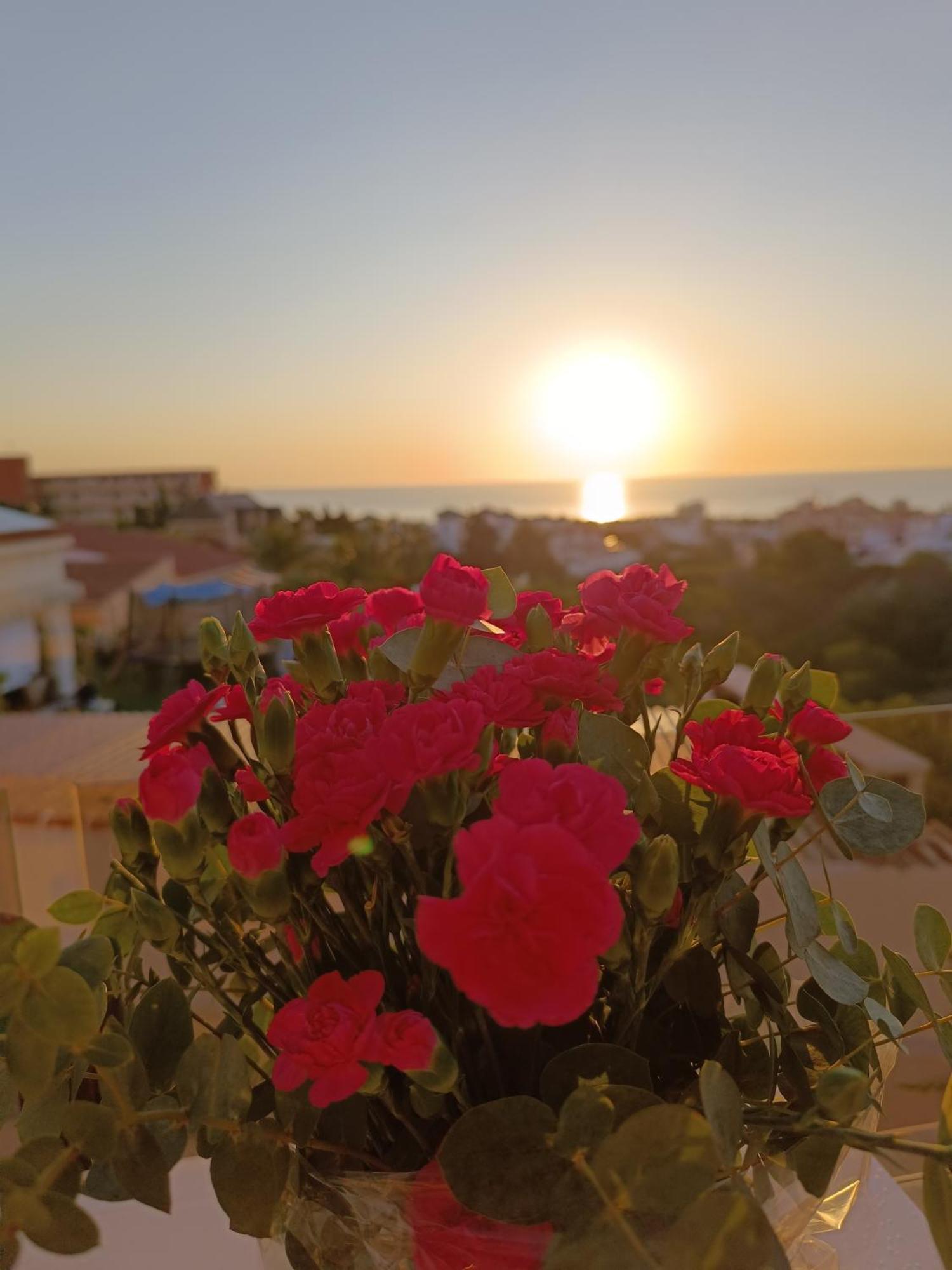 Rising Sun Bungalow تورّيفيِخا المظهر الخارجي الصورة